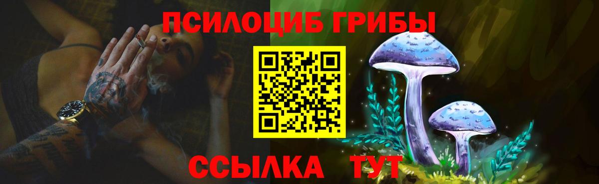 Галлюциногенные грибы MAGIC MUSHROOMS Кудымкар